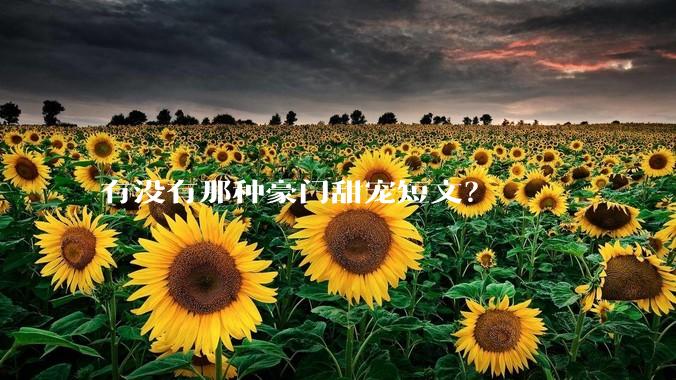 有没有那种豪门甜宠短文？