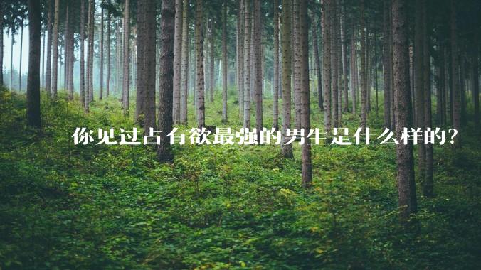 你见过占有欲最强的男生是什么样的？
