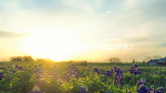 你做过的最大胆的事情是什么？