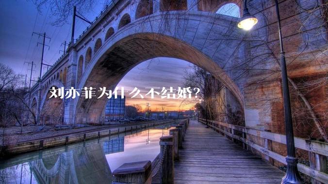 刘亦菲为什么不结婚？