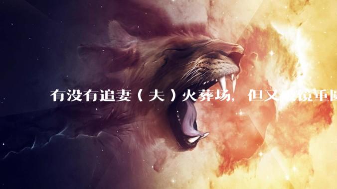 有没有追妻（夫）火葬场，但又破镜重圆的故事？