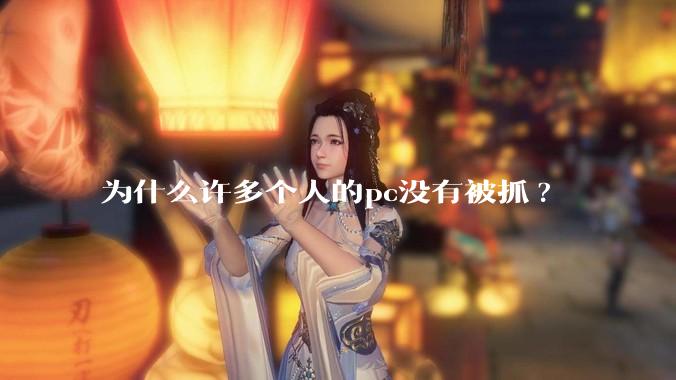 为什么许多个人的pc没有被抓?